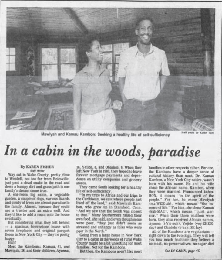 Newspaper article